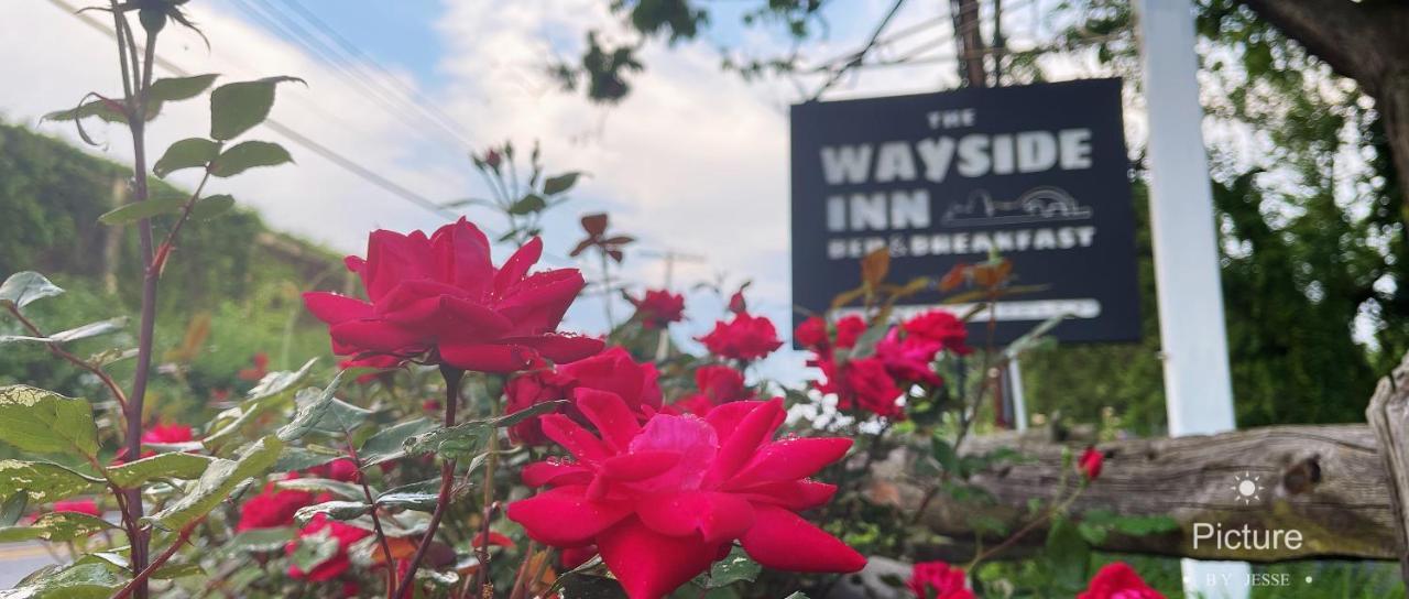 Bed and breakfast Wayside